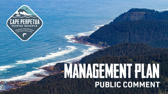Cape Perpetua Management Plan