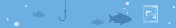 Messenger footer fish