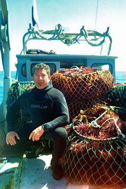 Tom Calvanese with urchins he helped harvest