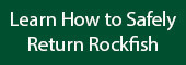 button_return_rockfish.jpg
