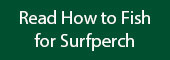 button_surfperch.jpg
