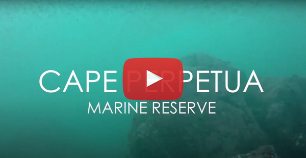 Cape Perpetua video