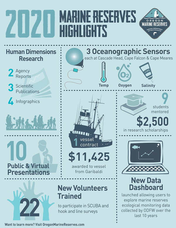 2020 Program Highlights Infographic