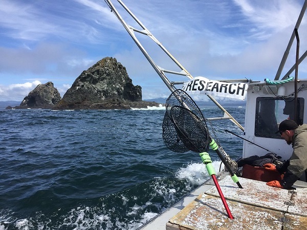 ODFW research aboard commercial fishing vessel at Orford Reef