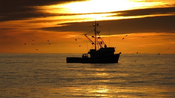 Fishing vessel at sunset