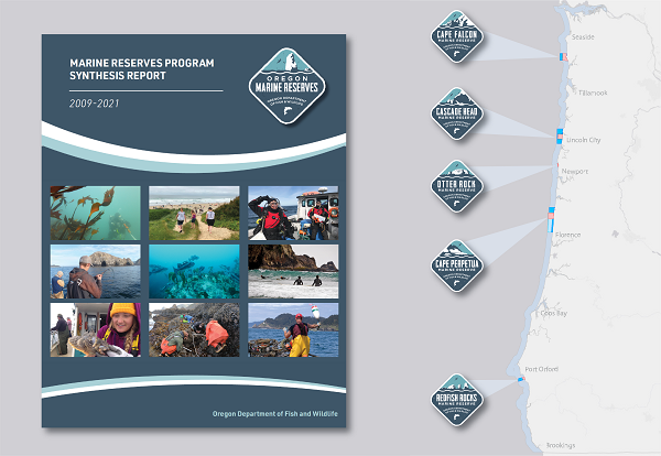 Marine Reserves Program Synthesis Report
