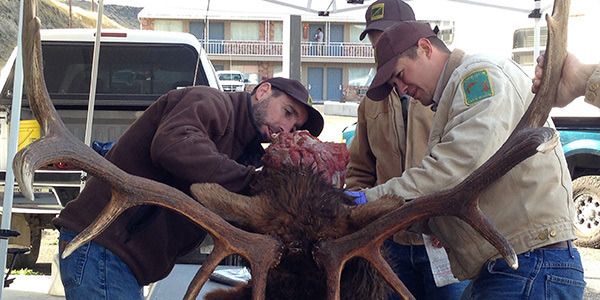 CheckSta2015-hero shot.jpg