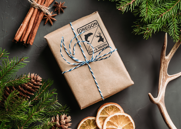 Dec2023 Messenger Hero .png