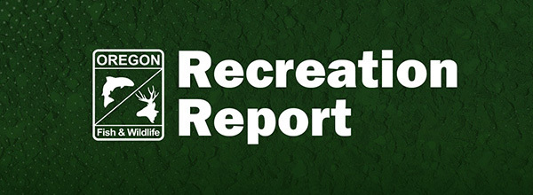 Recreation Report Header