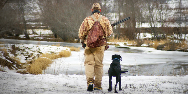 1091_duck_hunting_powder_rvr_hall_odfw.jpg