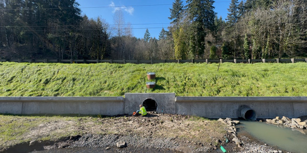 Palenskyunderpass.jpg