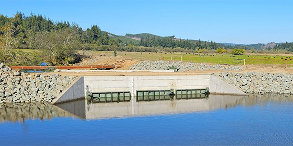 Coaledo Tidegate.jpg