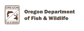 ODFW-News-logo.png