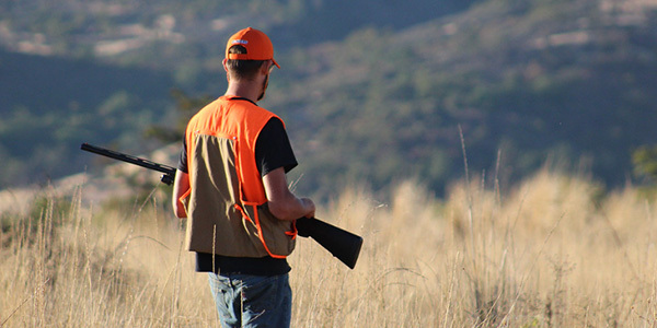 Pheasant hunter.jpg
