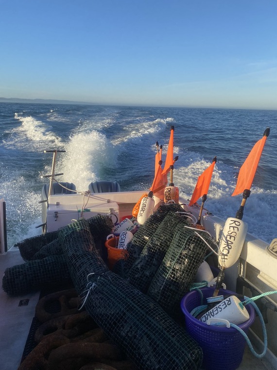 Research buoys on boat