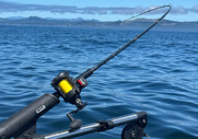Ocean_MessengerMay2026.jpg