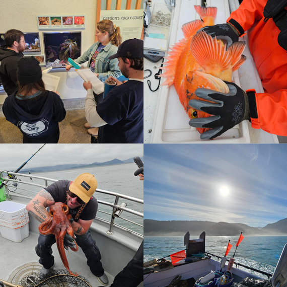 Images from the 2026 Spring field season- SCUBA training, hook-and-line surveys, Redfish Rocks Marine Reserve