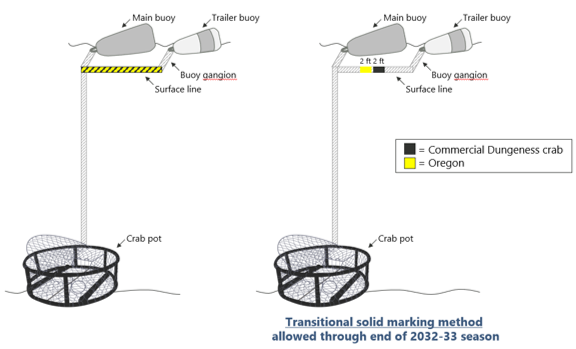 2026_27_LineMarkingRequirement