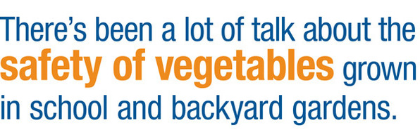 There’s been a lot of talk about the safety of vegetables grown in school and backyard gardens.