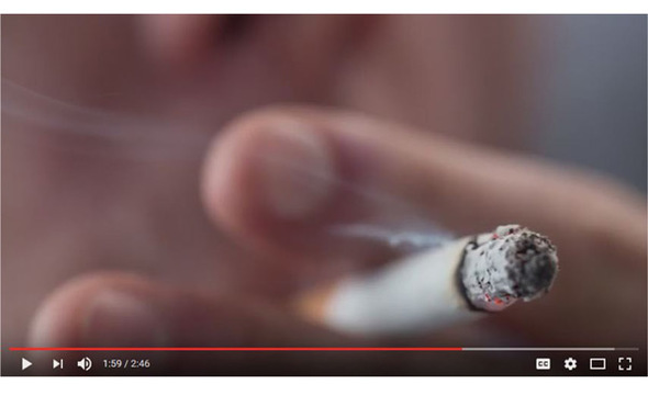 Tobacco video
