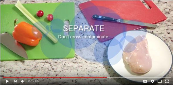food safety video capture