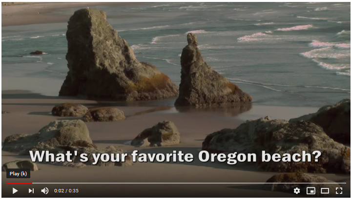 video screen capture