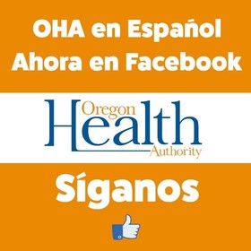 Facebook in Spanish 