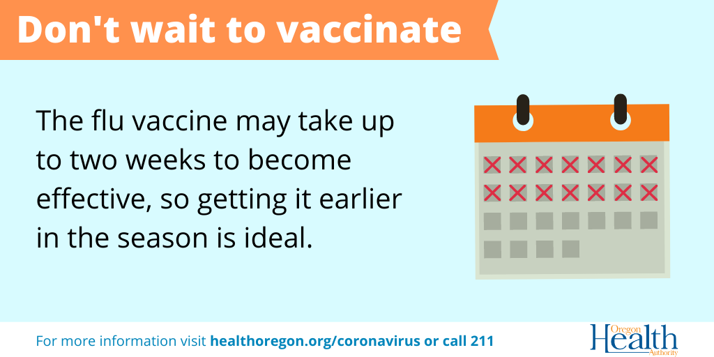 Don't wait to vaccinate the flu vaccine may take up to two weeks to become effective