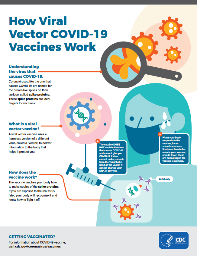 Graphic image of how viral vector COVID-19 vaccines work. Click on image to open pdf in browser.