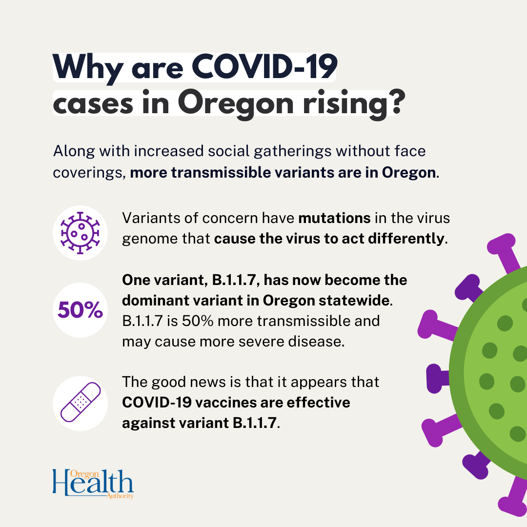 Infographic explaining why COVID-19 cases are rising in Oregon