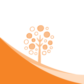 Orange Tree 