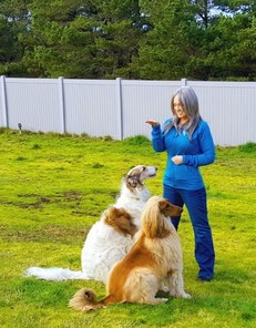 Woman stands on grass holding hand out in a “sit” command with two dogs sitting in front of her.