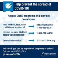 ODHS services and supports that could be accessed from home