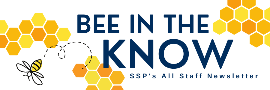 SSP newsletter header