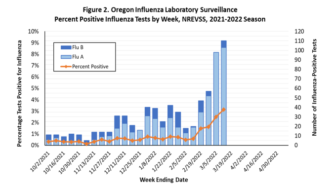 Graph shows flu cases rising between October 2021 and March 2022.