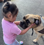 Photo shows a little girl petting a dog.