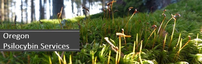 Oregon Psilocybin Services masthead with image of forest floor in springtime