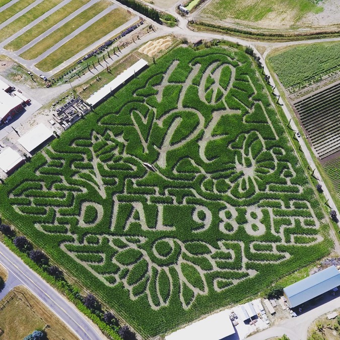 Overhead photo of Bella Organic Farm's corn maze and its message, "Hope: Dial 988"