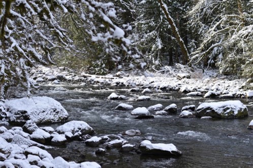 December Newsletter Cover Photo