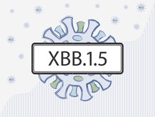 XBB.1.5 graphic