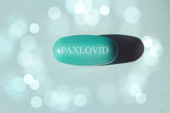 photo of Paxlovid pill