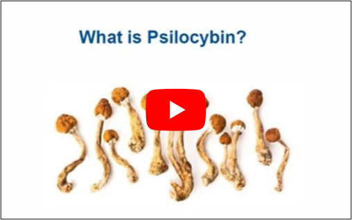 video thumbnail screen shot with photo of dried mushrooms