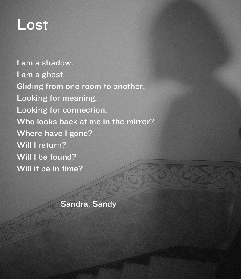 photo of a human shadow against a wall and the text of a poem called "Lost"