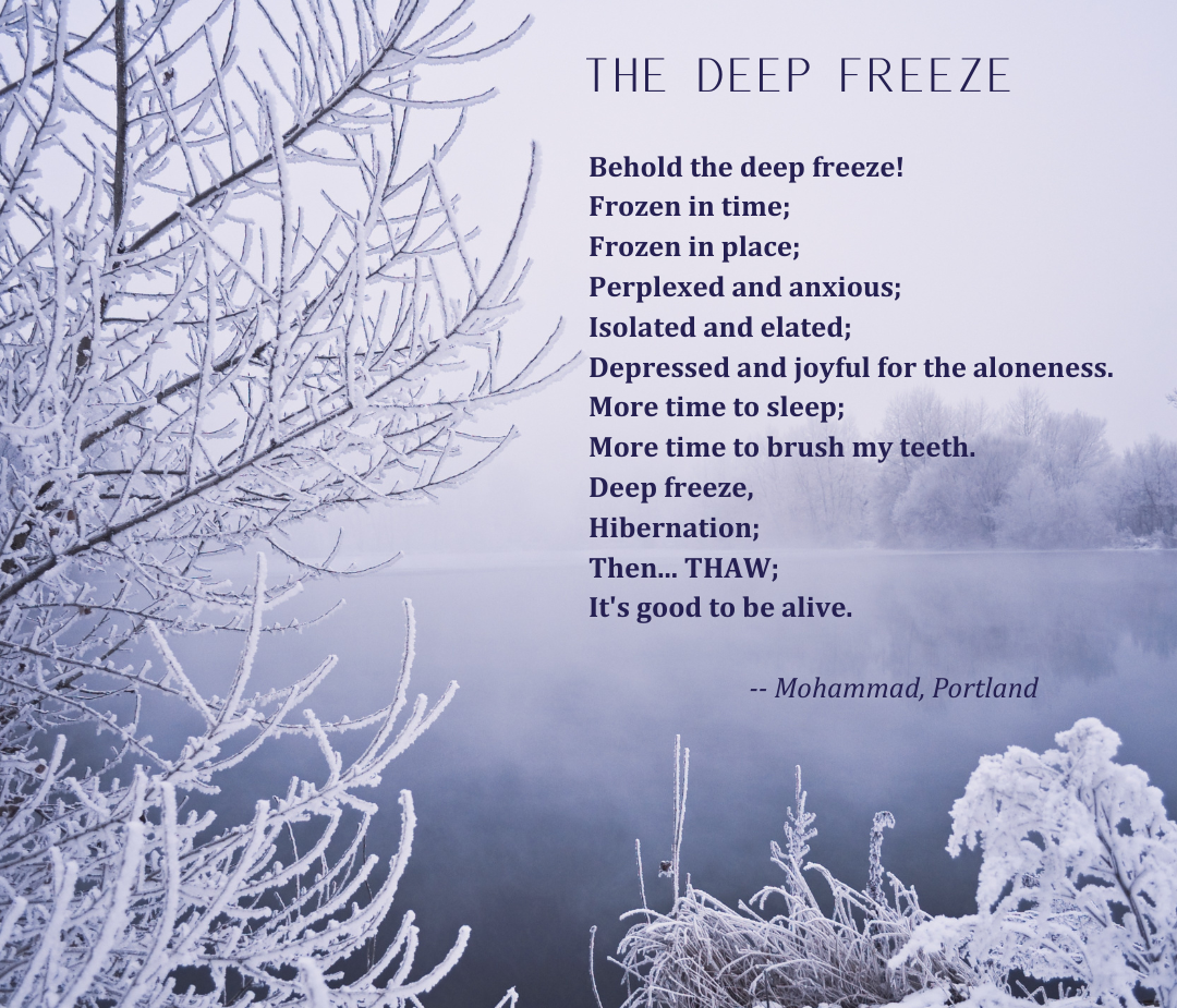 Poem about the pandemic titled The Deep Freeze