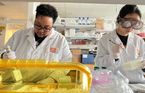 photograph of scientists working in a lab