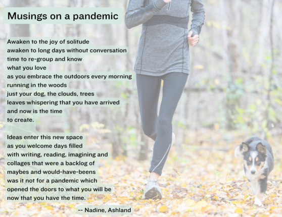 Poem titled "Musings on a pandemic"