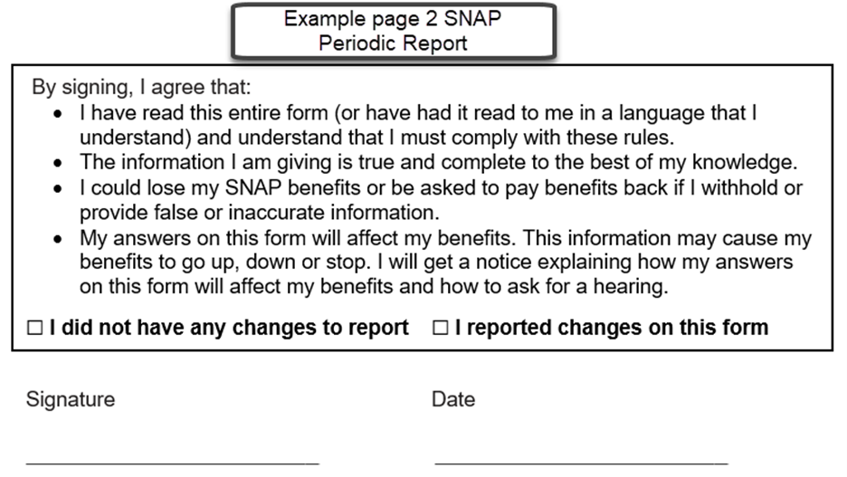 SNAP Periodic Report page 2 example 