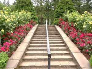 Rose Garden Stairs
