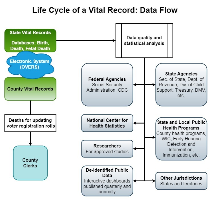 County life cycle data