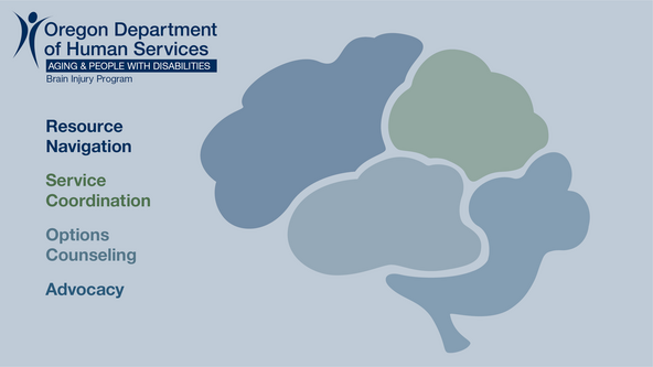 brain injury program